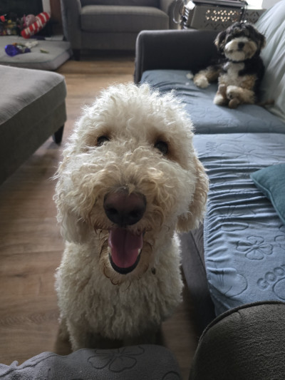 man wearing white V-neck shirt