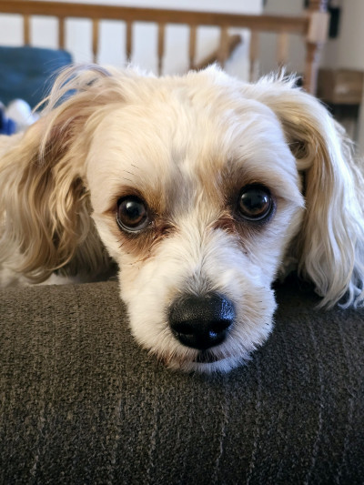 man wearing white V-neck shirt