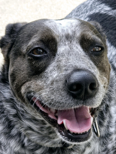 man wearing white V-neck shirt