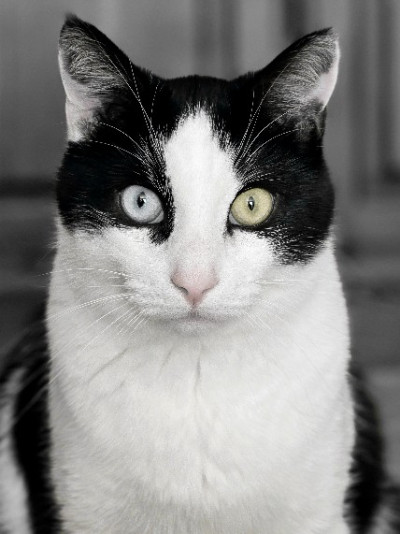 man wearing white V-neck shirt
