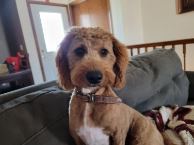 man wearing white V-neck shirt